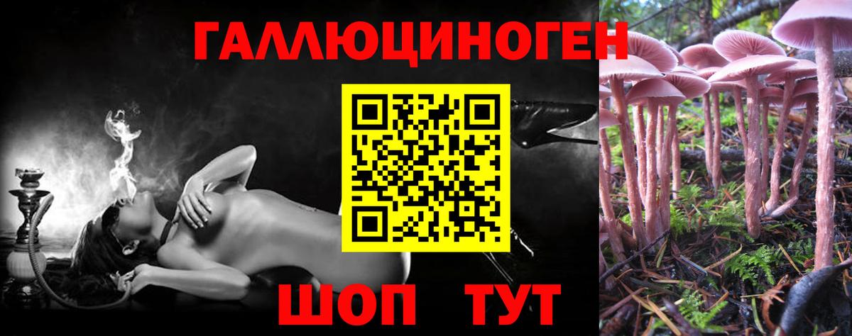Дубна  Псилоцибиновые грибы Psilocybe  Вход с VPN 